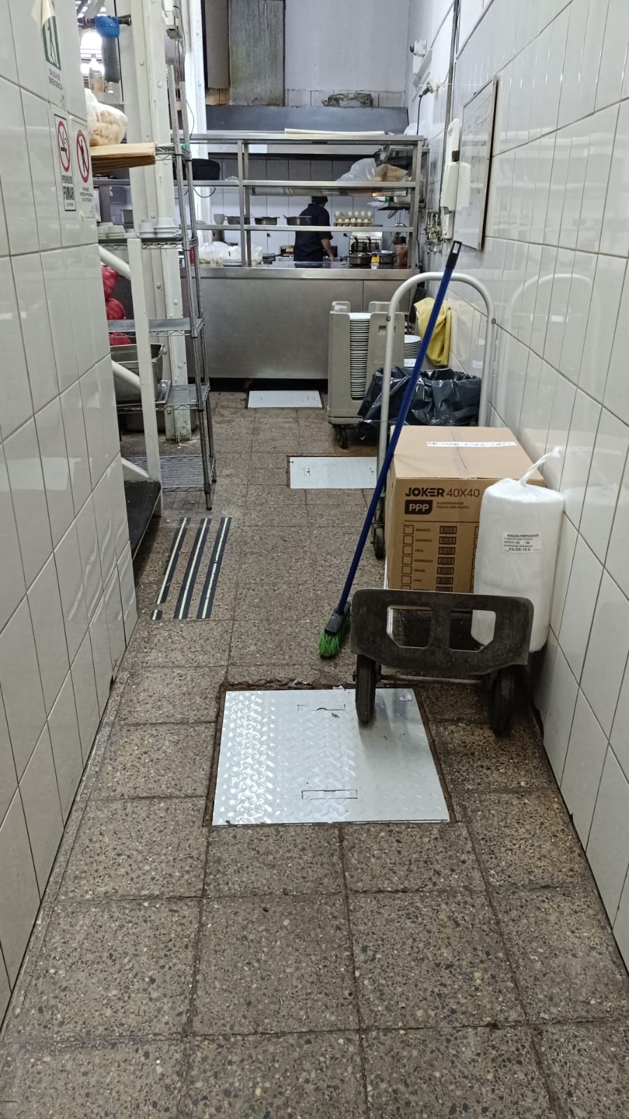 camara desgrasadora standard